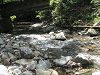 camp24 (203)_samu.gif